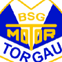 b 1952 - 1990 BSG Motor Torgau